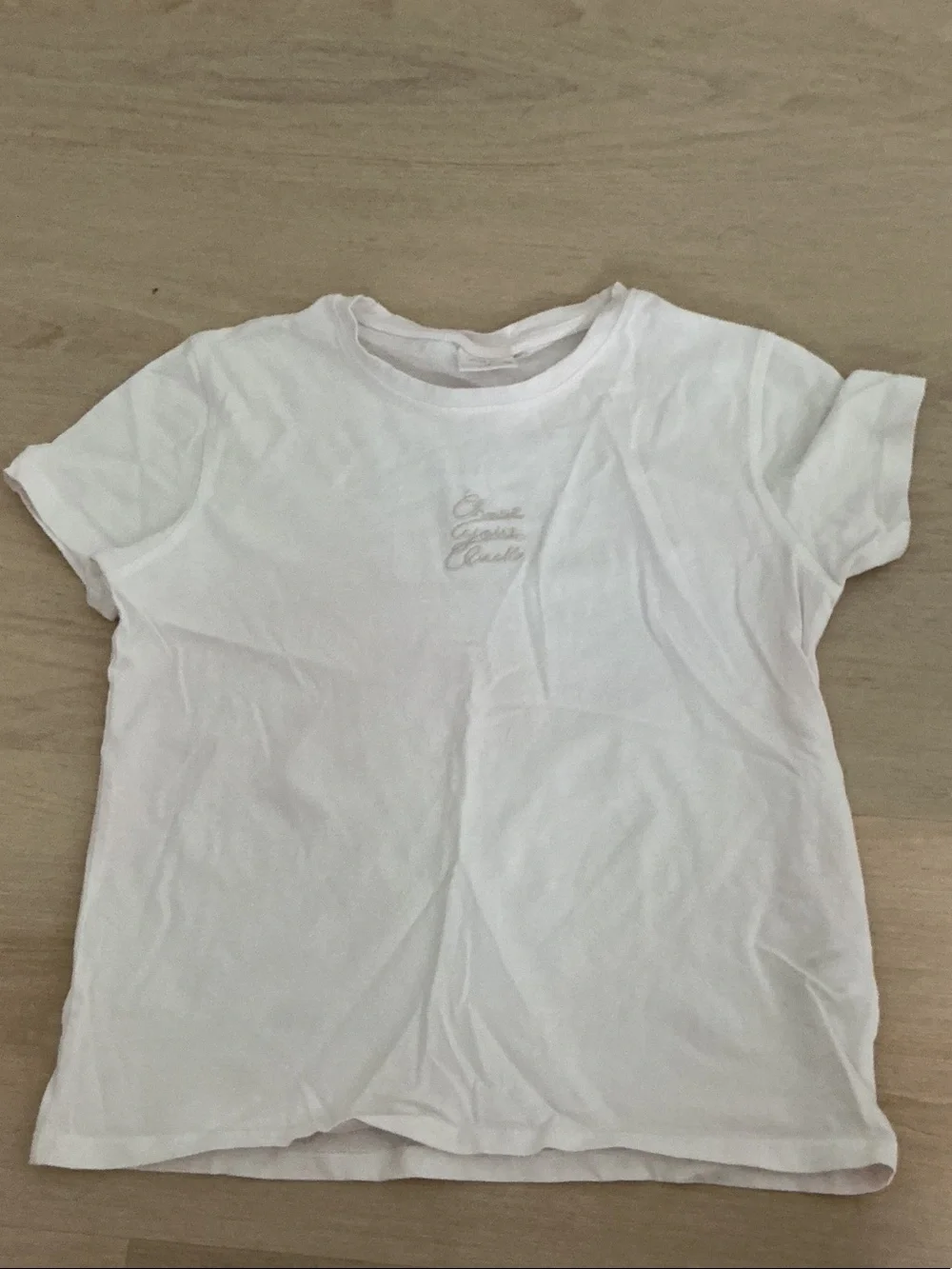 Zara White Short Sleeve Tee with Subtle Embroidery